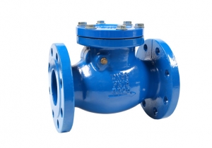 ZAWÓR ZWROTNY KLAPOWY KOŁ.  50  6524