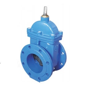 ZASUWA KOŁNIERZOWA F111 DN50 KW14 SFERO BEFA