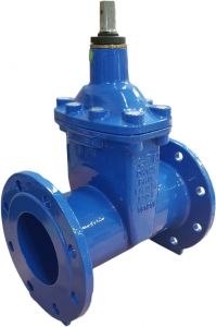 ZASUWA KL.KOL.DN50 WODA CC F5 PN16 EPDM DŁUGA AEON