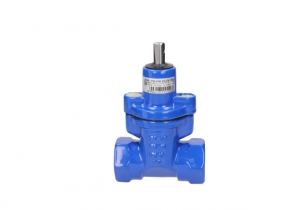 ZASUWA Z GWINTAMI WEWNĘTRZNYMI 3116 DN25 GW 1