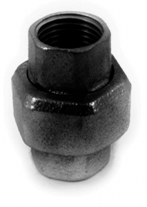 HOLENDER CZARNY   1/2