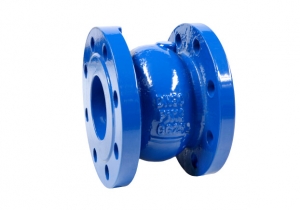 ZAWÓR GRZYBKOWY ZWROTNY 6525 DN50 NBR PN16